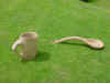 228 and 239 Mug and spoon Oak