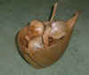 Bowl_of_fruit_Beech_�75_