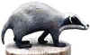 Badger painted Elm