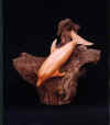 Dolphin Yew on Oak(1899 bytes)