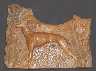 Beech wood relief dog 12x10ins�75