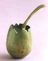 13 egg and spoon Apple �45