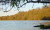 Ashbank Litlington 4 Nov 00