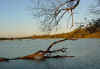 Ash bank to North Litlington 4 Nov 00