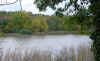 Friston  Forest.West Dean 8 Nov 00