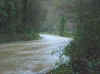 Litlington. The road to Exeat. 6 Nov 00.