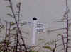signpost Alfriston 6 Nov 00
