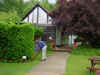 Tea garden Elizabeth
