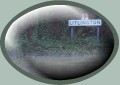 Click for MPEG 